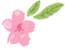 衡陽(yáng)市蒸湘區(qū)仁愛(ài)實(shí)驗(yàn)中學(xué)|衡陽(yáng)全日制|全寄宿|全封閉|半月假制初級(jí)中學(xué) 衡陽(yáng)市蒸湘區(qū)仁愛(ài)實(shí)驗(yàn)中學(xué)|衡陽(yáng)全日制|全寄宿|全封閉|半月假制初級(jí)中學(xué)